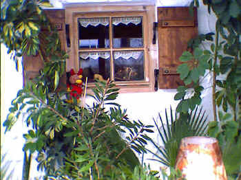 Fenster