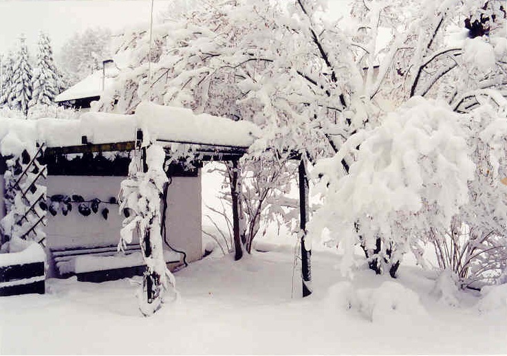 Pergola im Winter